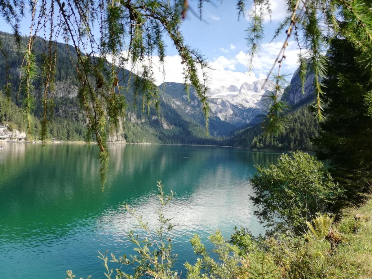 Lammerauhof Abtenau Εξωτερικό φωτογραφία