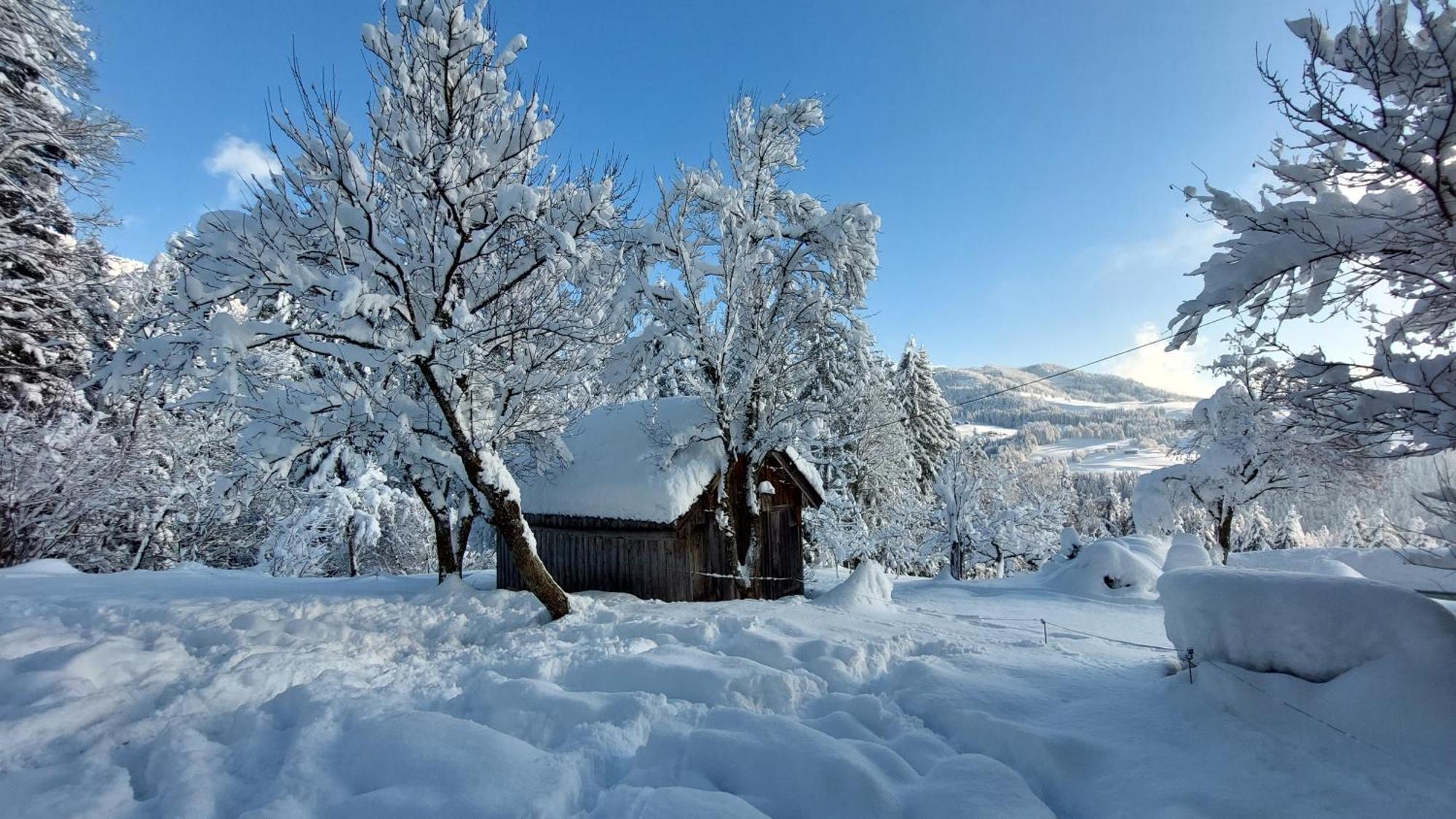 Lammerauhof Abtenau Εξωτερικό φωτογραφία