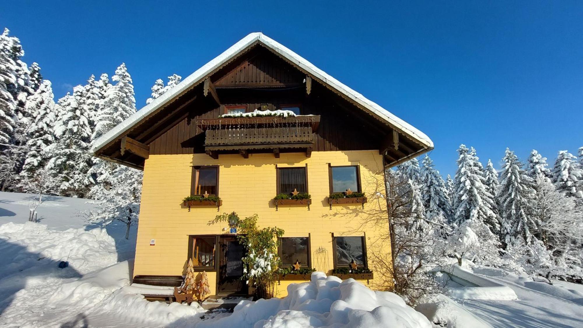 Lammerauhof Abtenau Εξωτερικό φωτογραφία