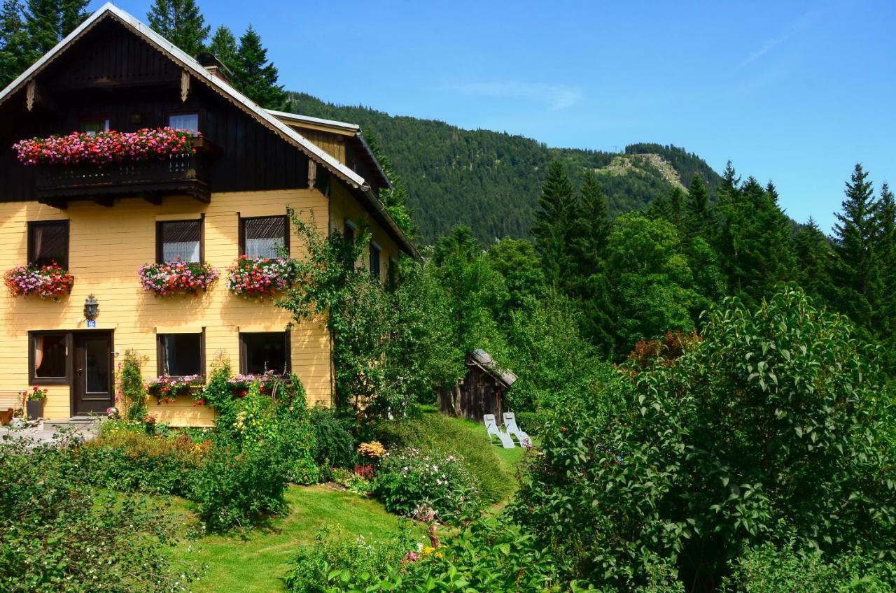 Lammerauhof Abtenau Εξωτερικό φωτογραφία